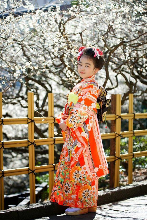 荒川区で七五三の写真撮影なら若色写真事務所