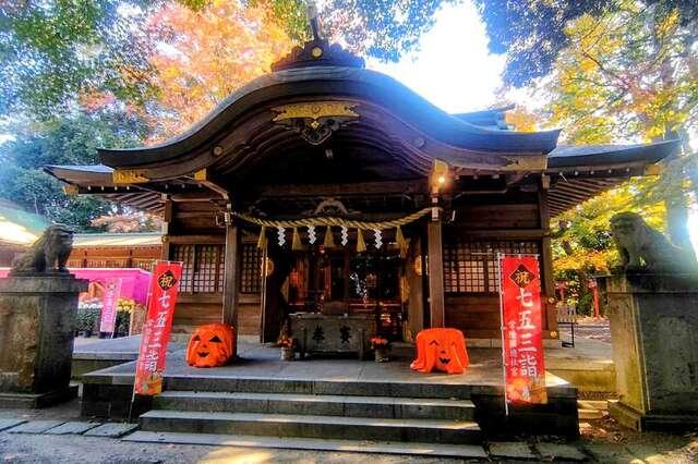 荒川区 素盞雄神社 七五三 写真撮影 若色写真事務所