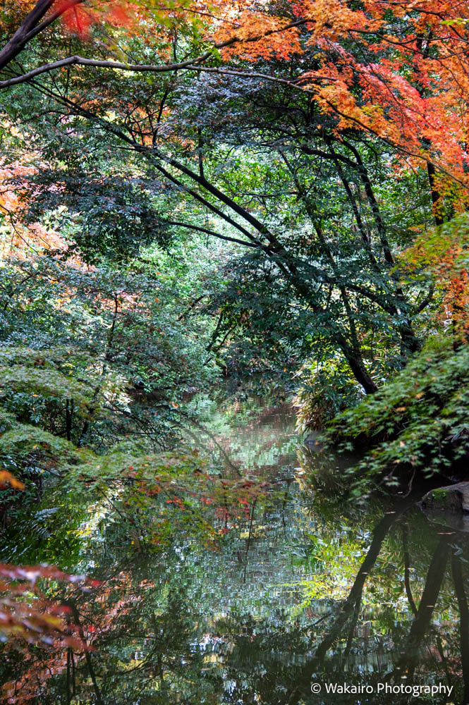 東京都 風景写真 旅行写真 有名なカメラマン