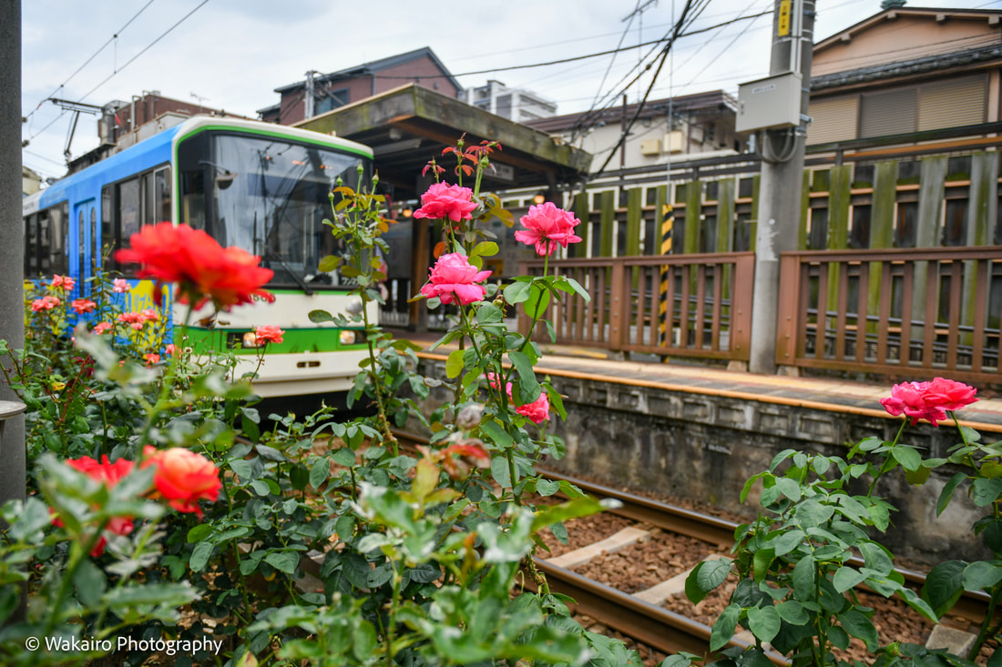東京さくらトラム 三ノ輪橋停留場